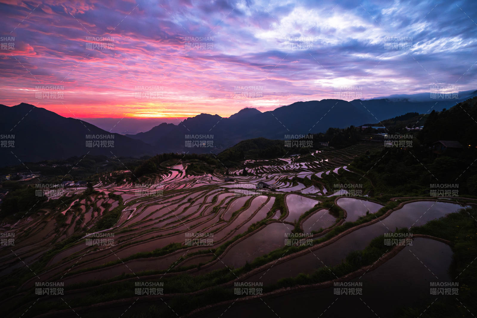 云和梯田日出 山峦醉霞光图片