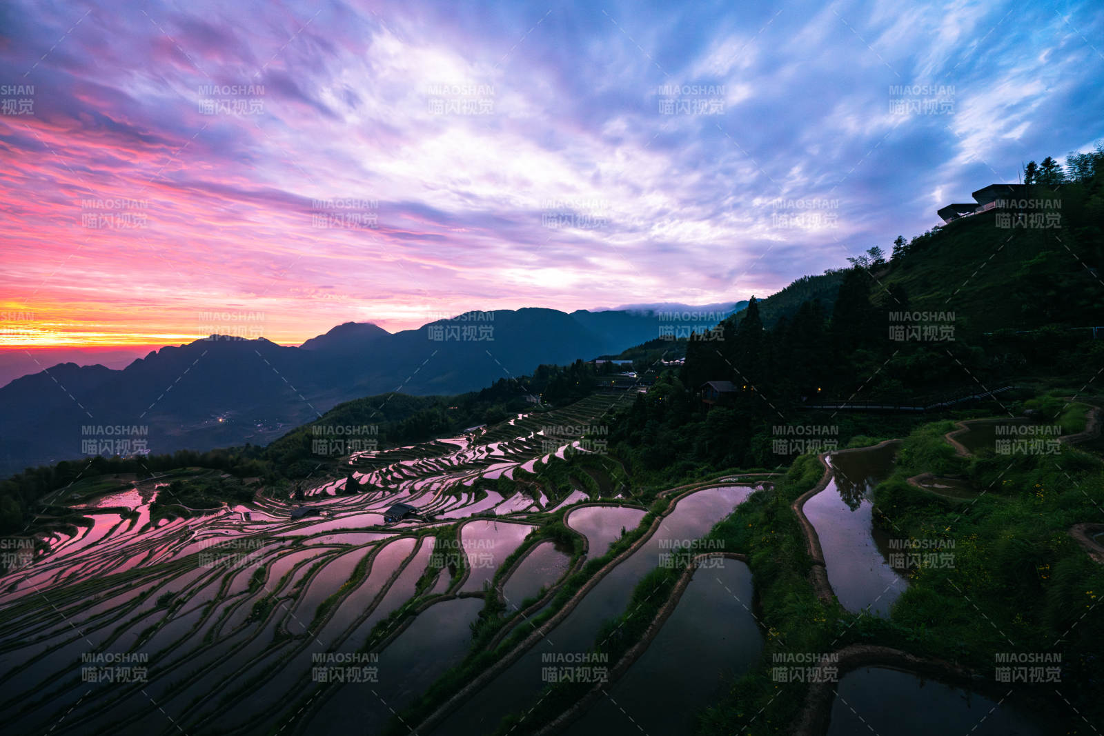 云和梯田日出 山色如画图片