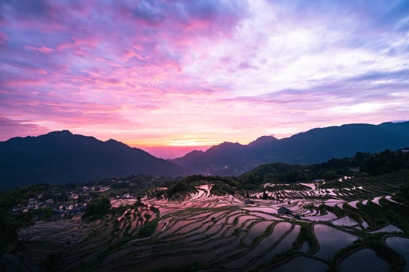云和梯田日出 山色如画图片