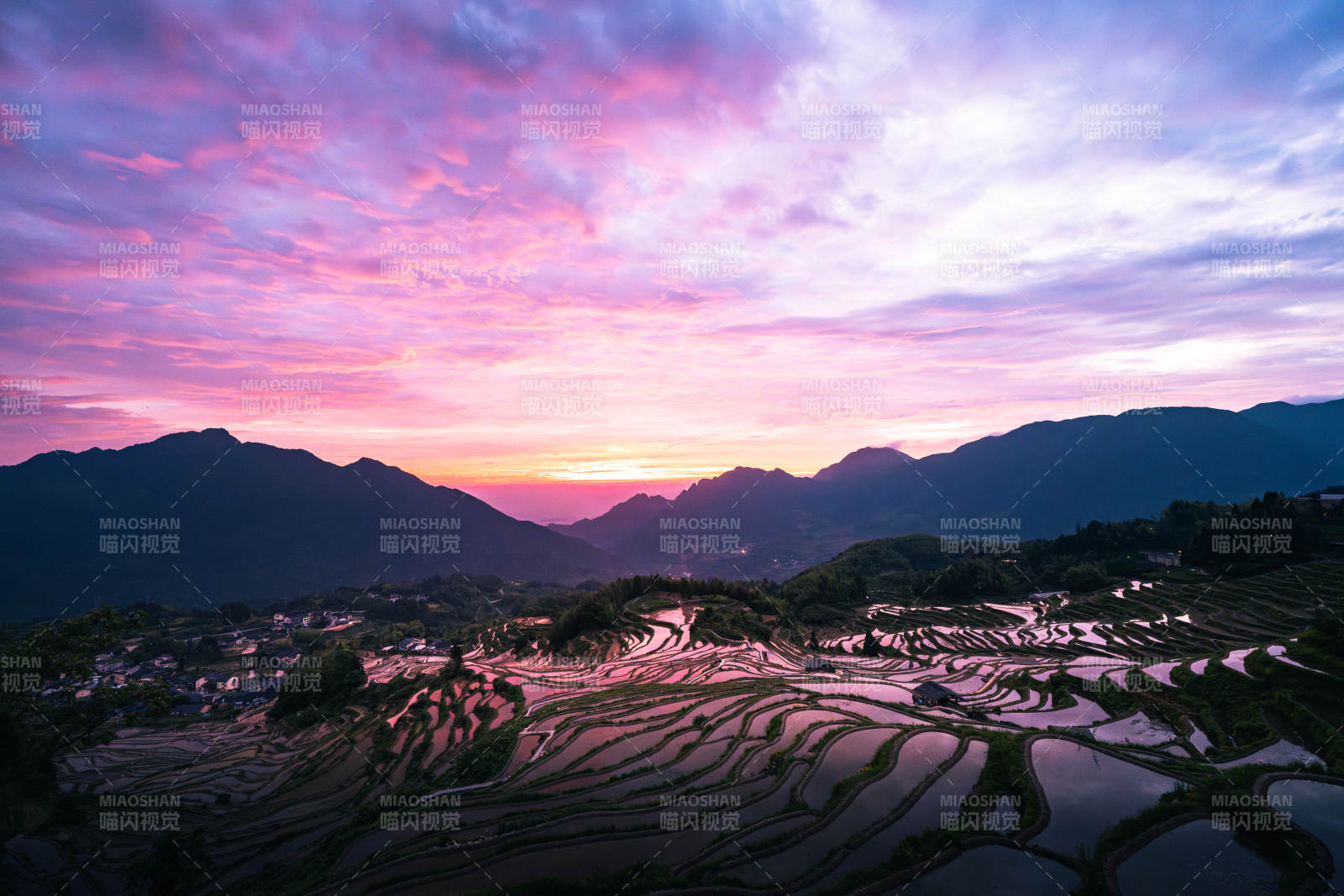 云和梯田日出 山色如画图片