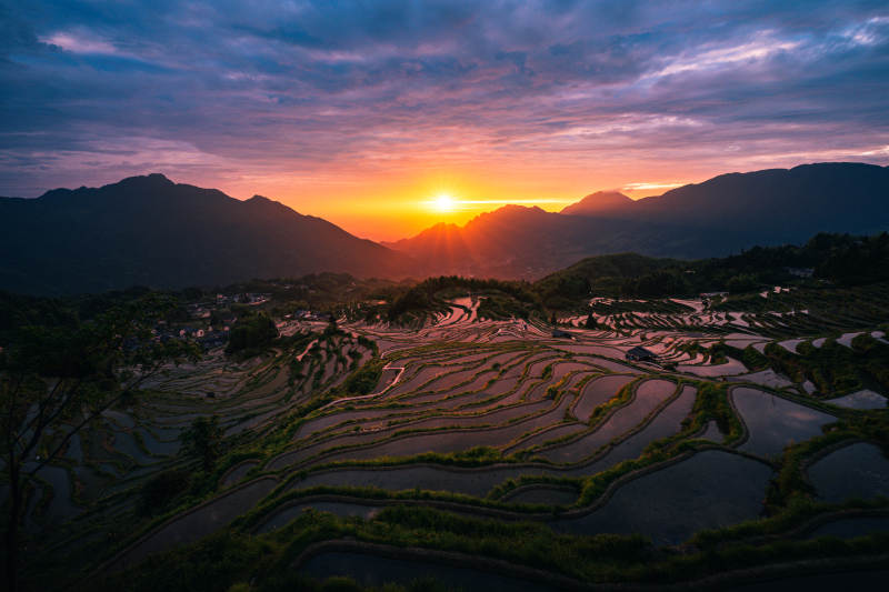 云和梯田日出 山河如画图片