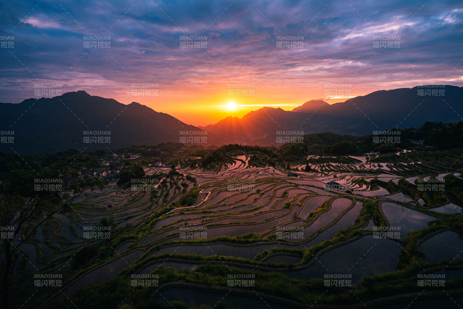 云和梯田日出 山河如画图片