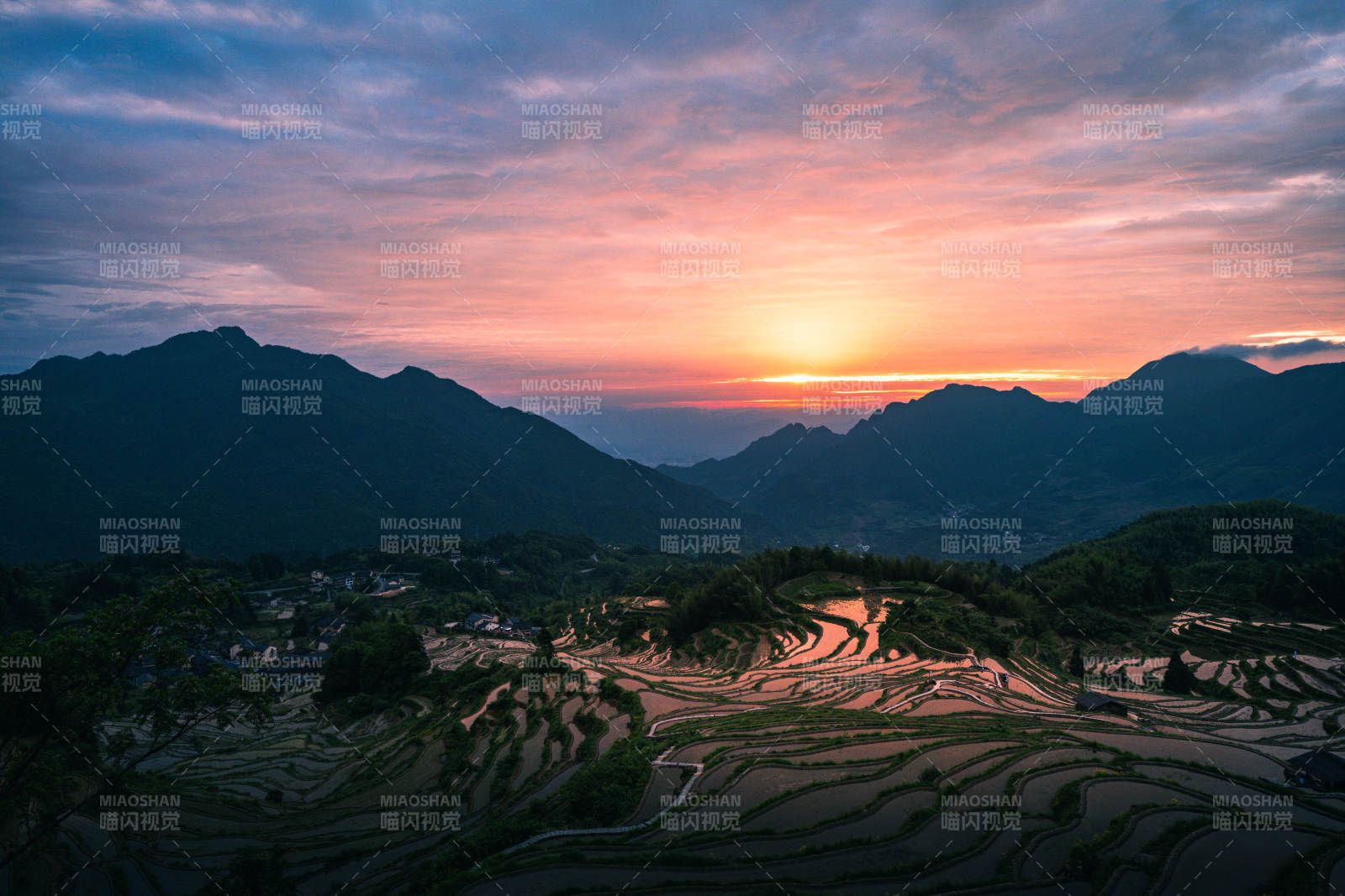 云和梯田日出 山峦染霞光图片