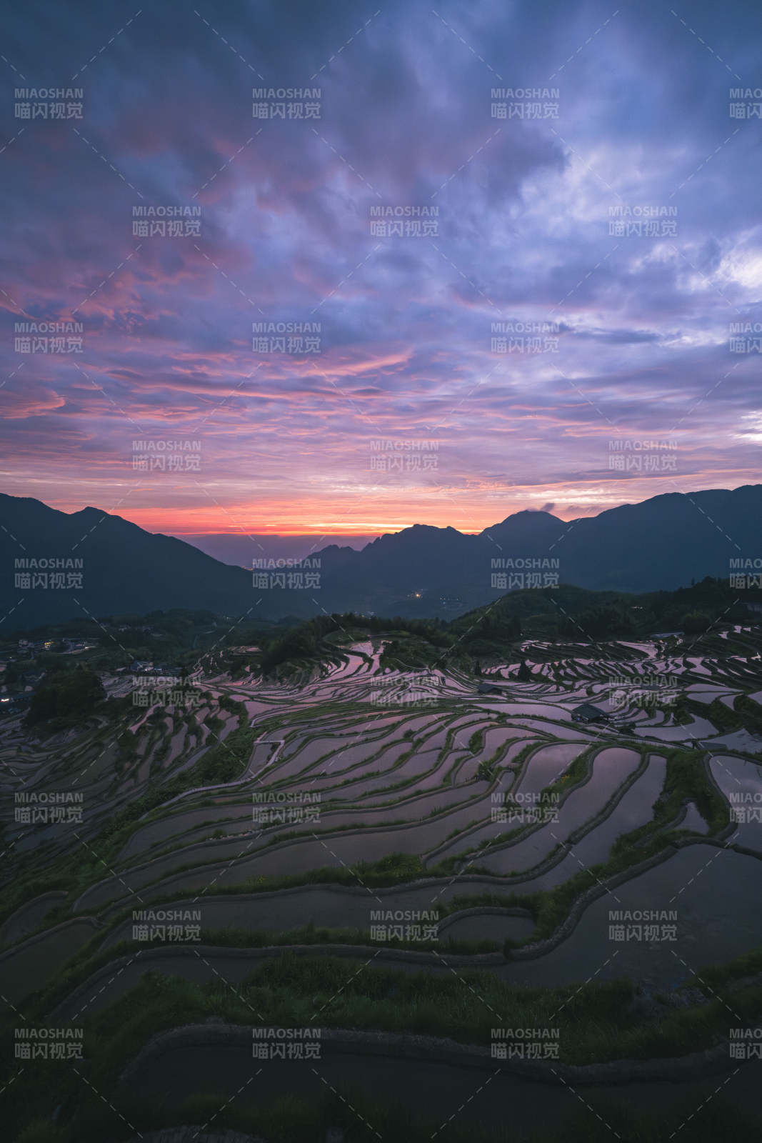 云和梯田日出 朝霞染山峦图片