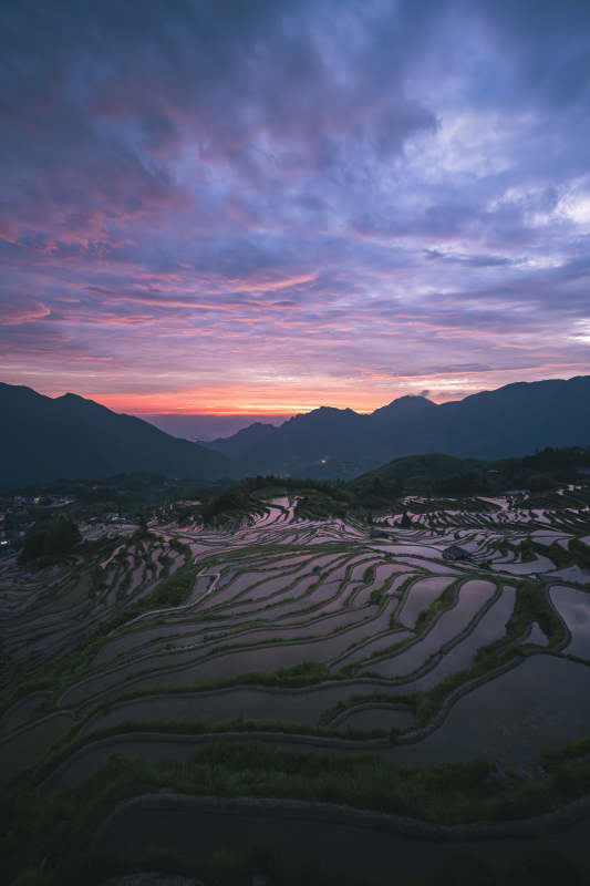 云和梯田日出 朝霞染山峦图片