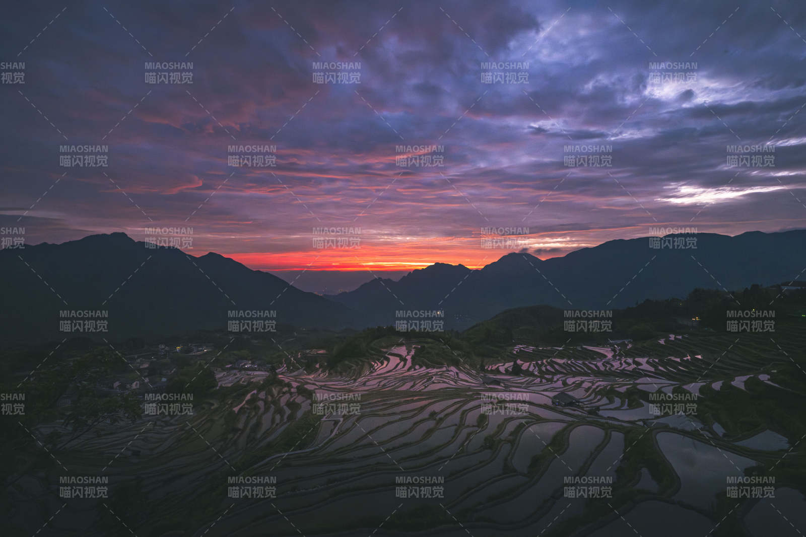 云和梯田日出 朝霞映山峦图片