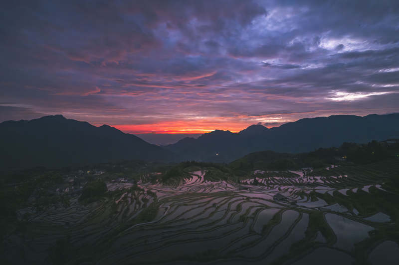 云和梯田日出 朝霞映山峦图片