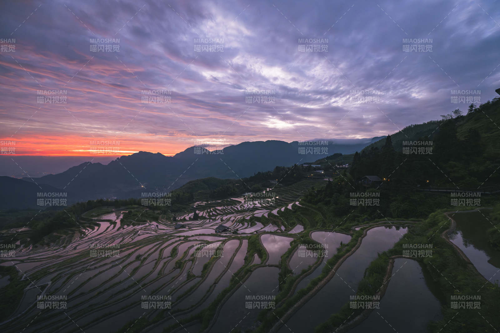 云和梯田朝霞 山色如诗图片