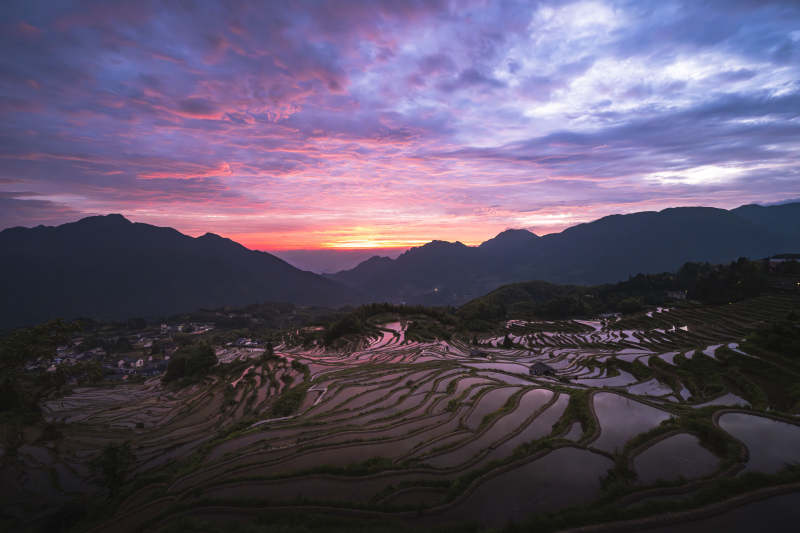 云和梯田朝霞 山色如画图片