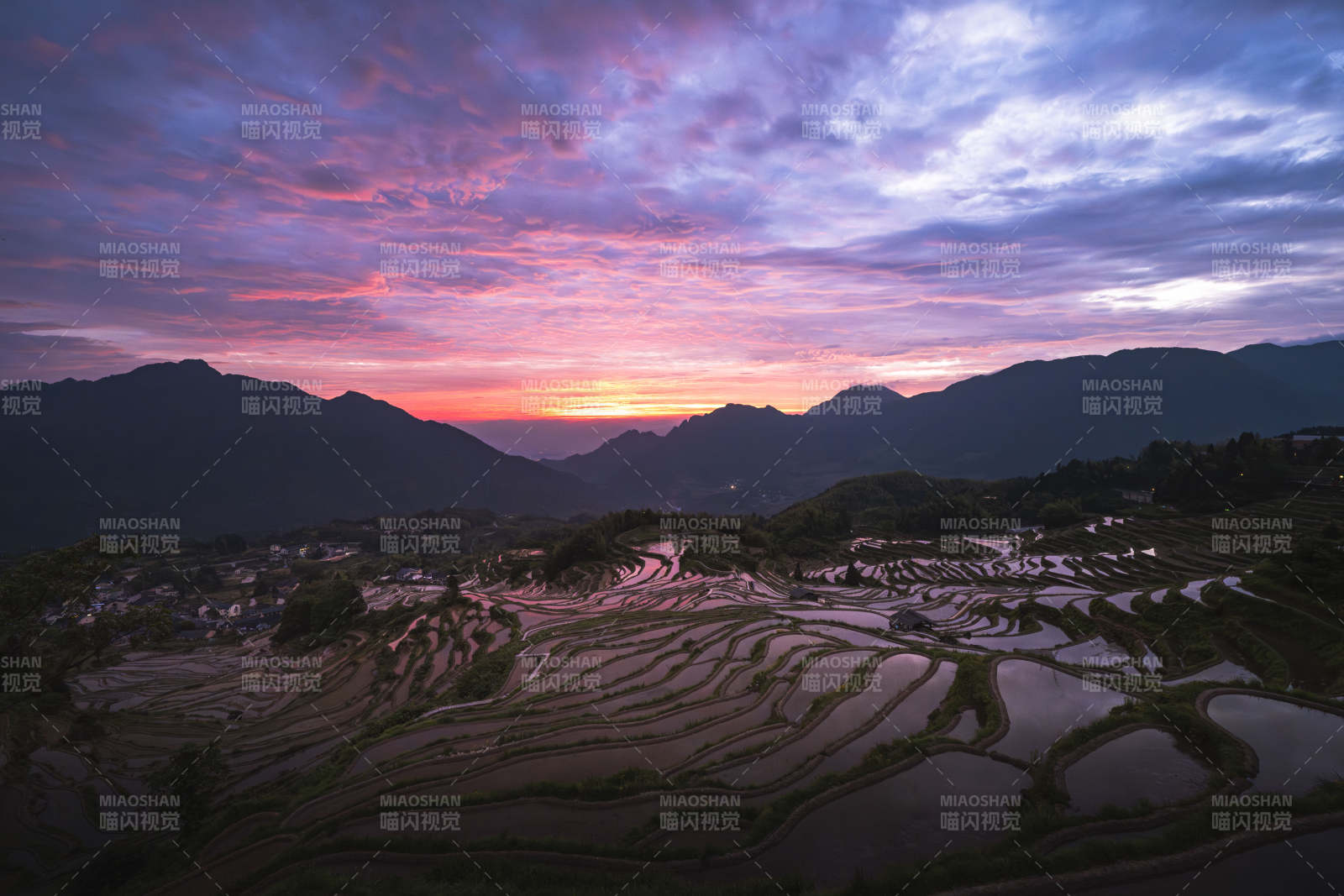 云和梯田朝霞 山色如画图片