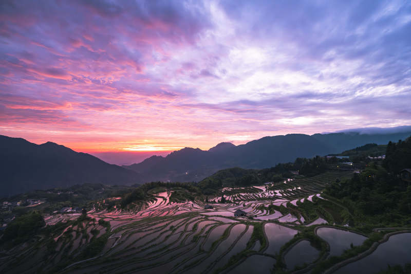 朝霞染梯田 山峦入画图片