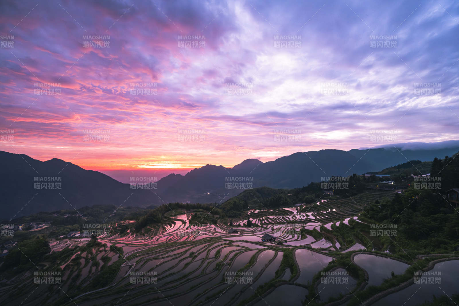 朝霞染梯田 山峦入画图片