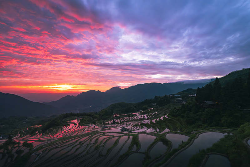 云和梯田日出 山峦如画图片