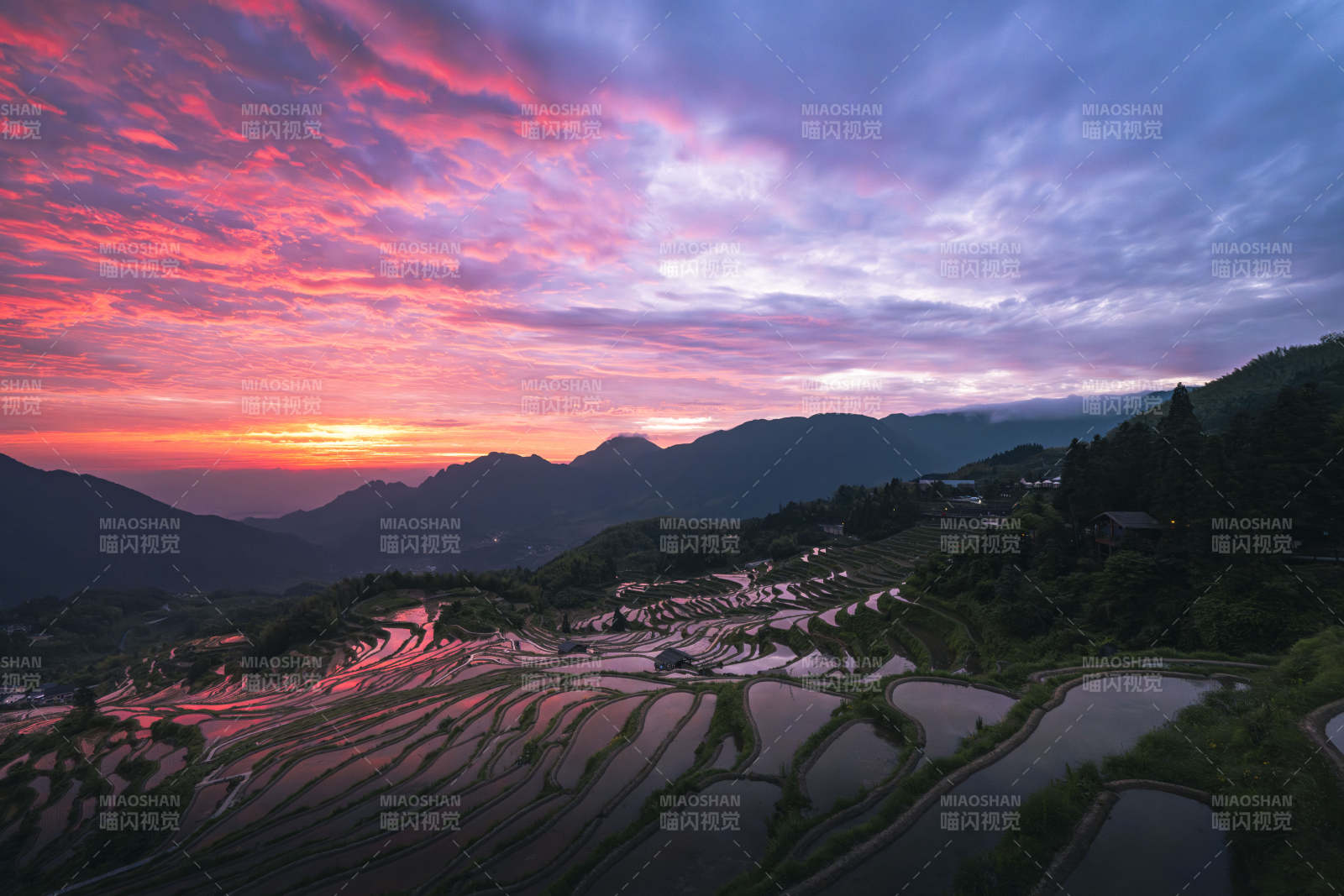 霞染云和梯田 山色如画图片