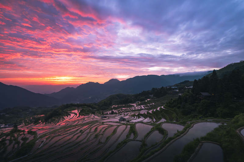 霞染云和梯田 山色如画图片