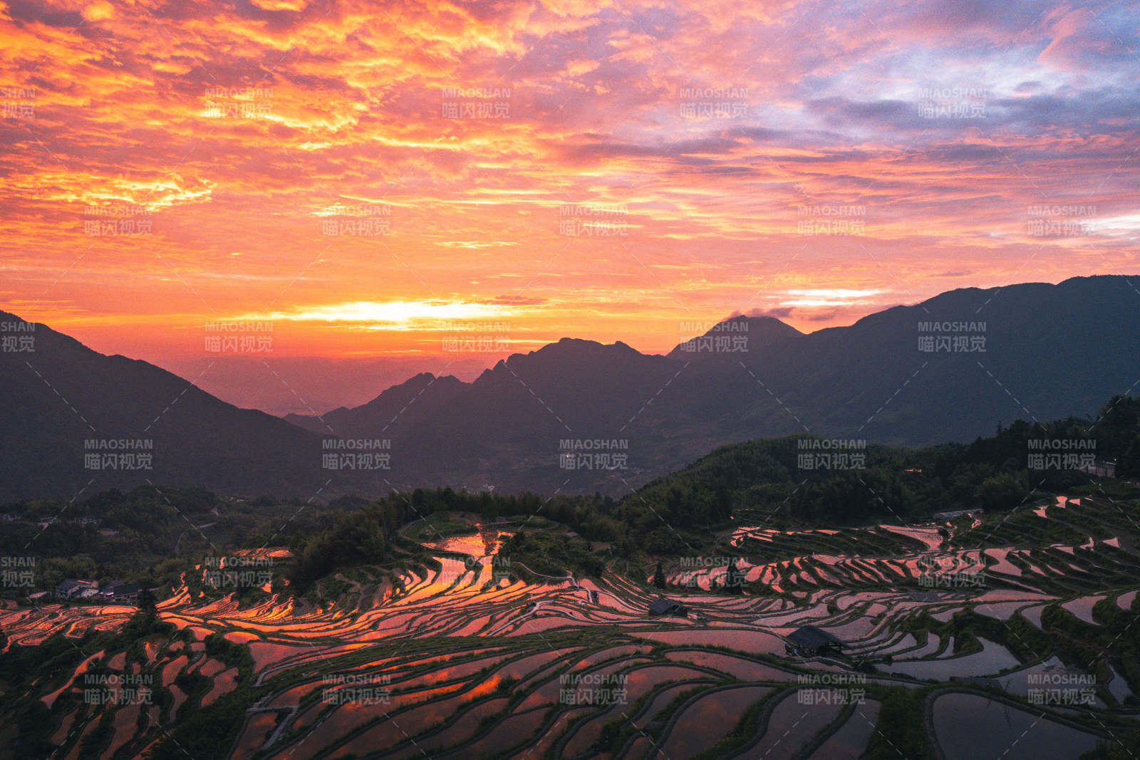 朝阳染梯田 山峦映霞光图片