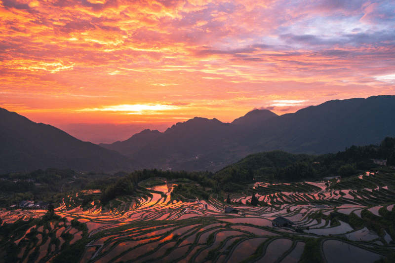 朝阳染梯田 山峦映霞光图片