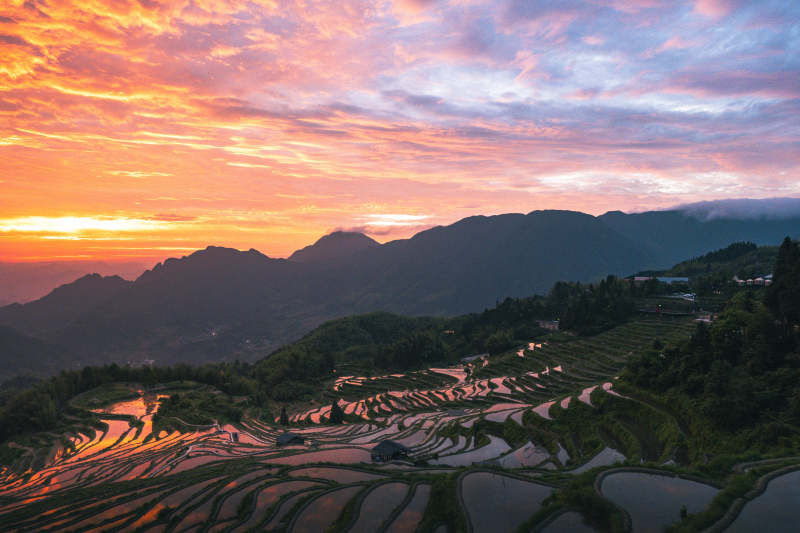 云和梯田日出 山峦醉朝霞图片
