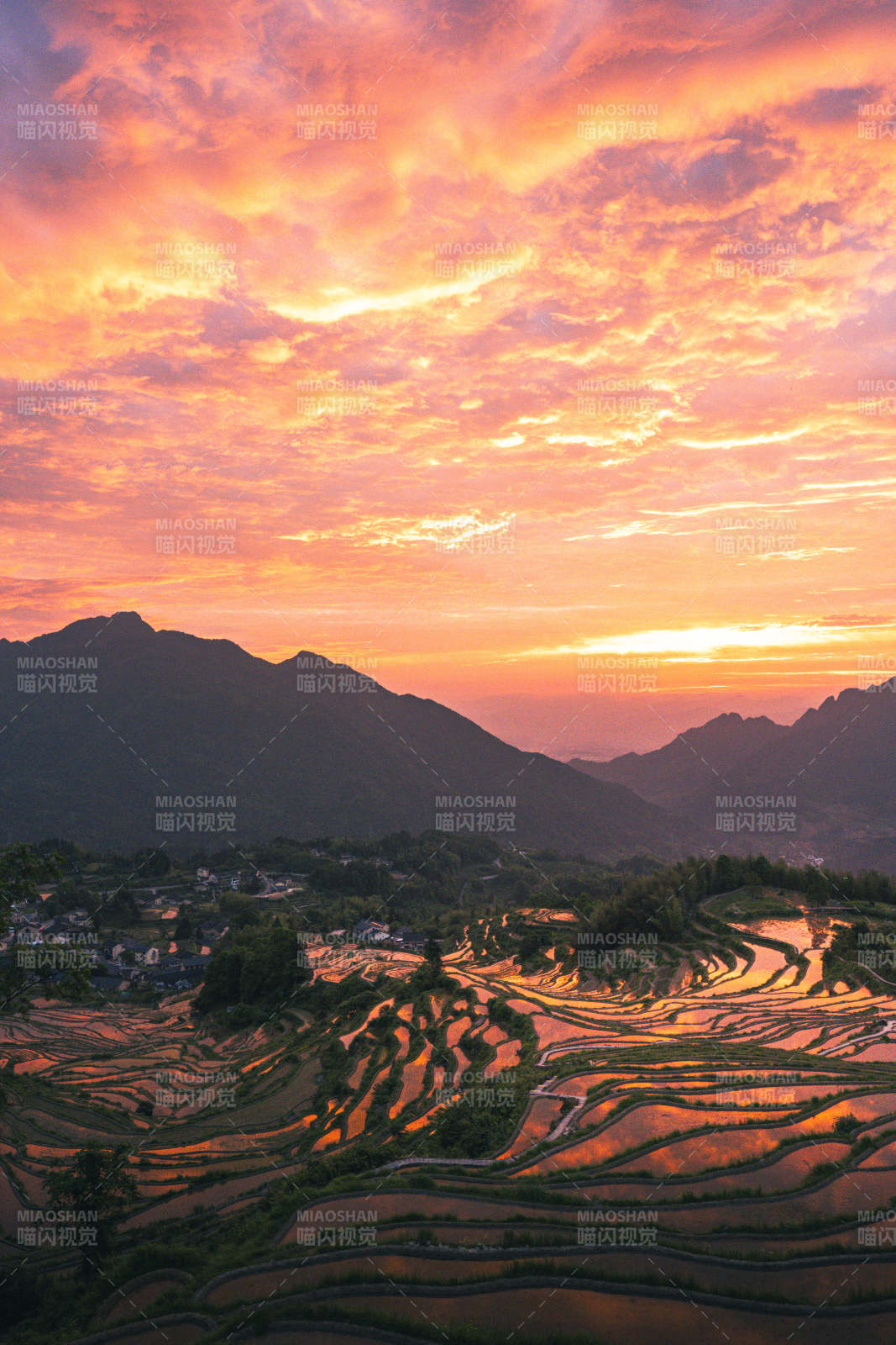 霞染云和梯田 山峦映朝霞图片