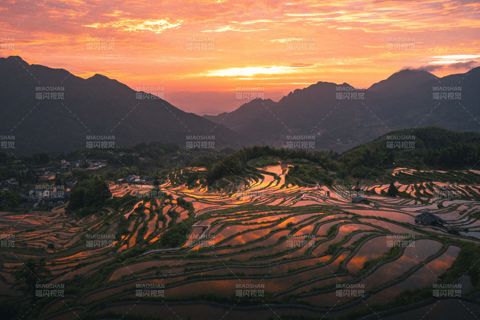 朝霞染梯田 山峦映霞光图片