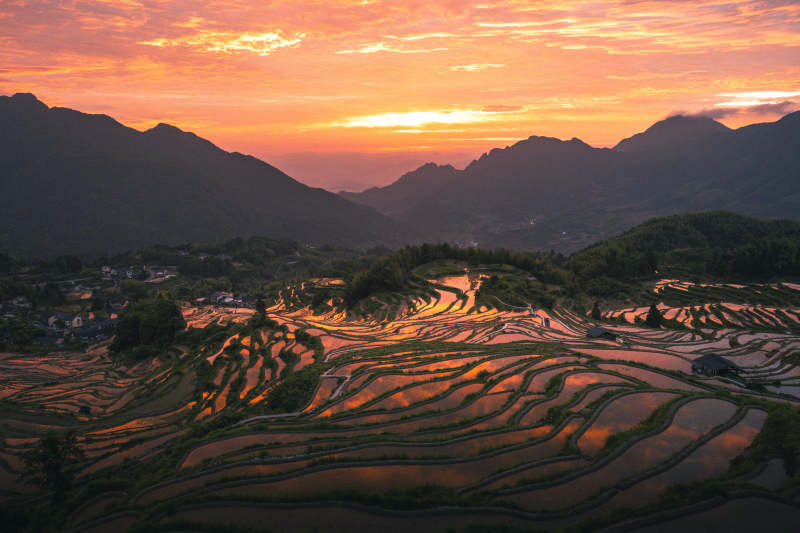 朝霞染梯田 山峦映霞光图片