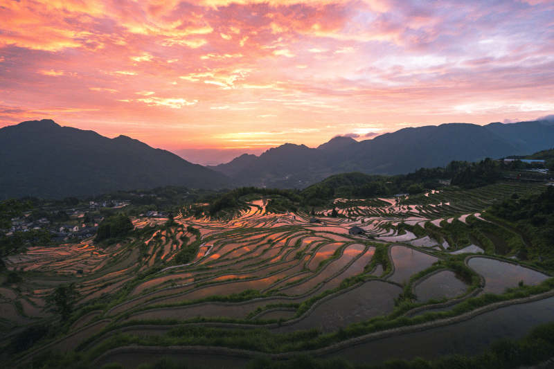 云和梯田日出 山峦如画图片