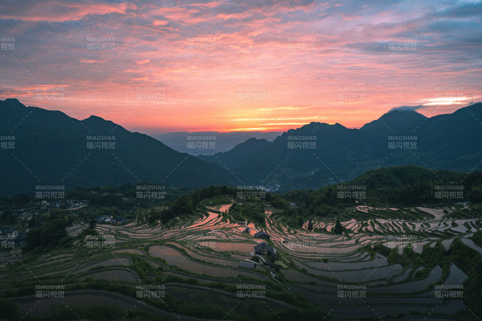 云和梯田日出 山峦染霞光图片