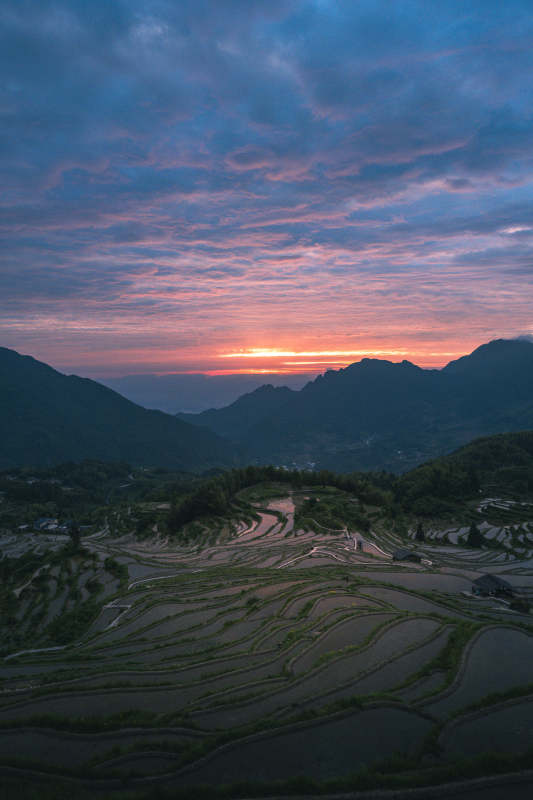 梯田日落 霞光染山峦图片