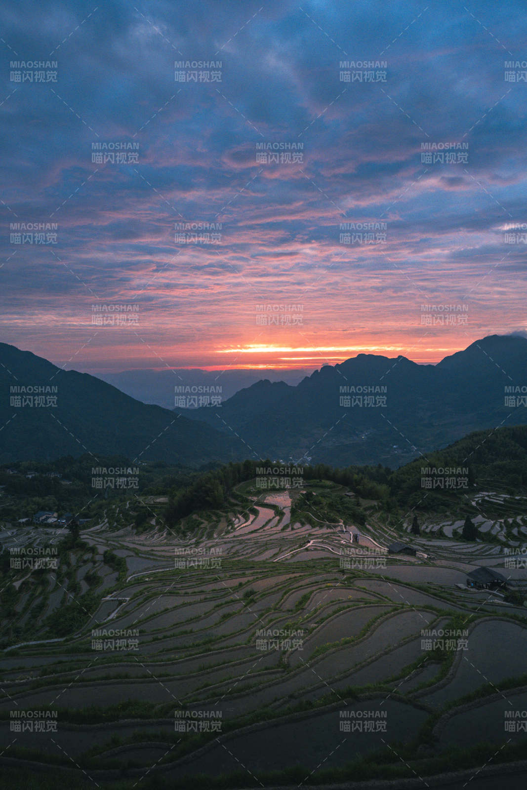 梯田日落 霞光染山峦图片