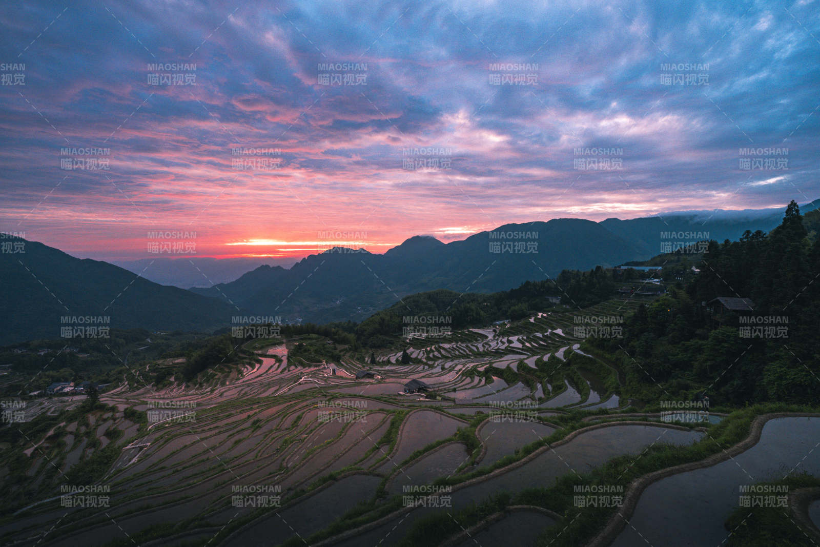 梯田暮色 霞光染山峦图片
