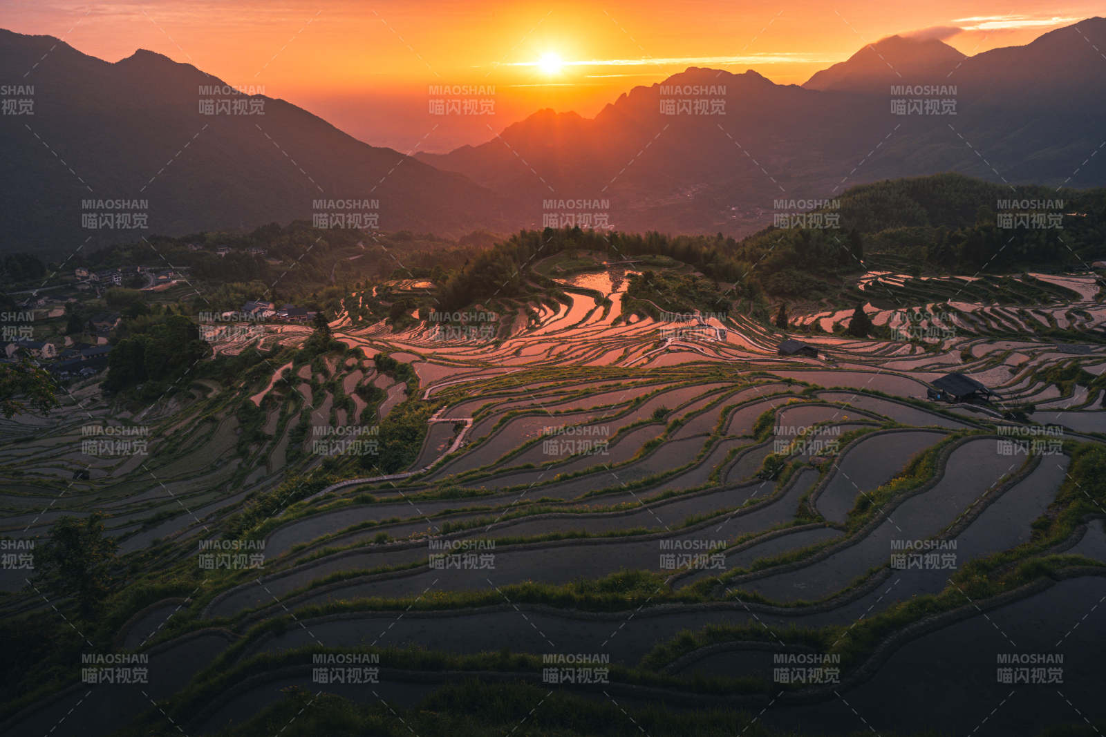 夕阳梯田 山河如画图片