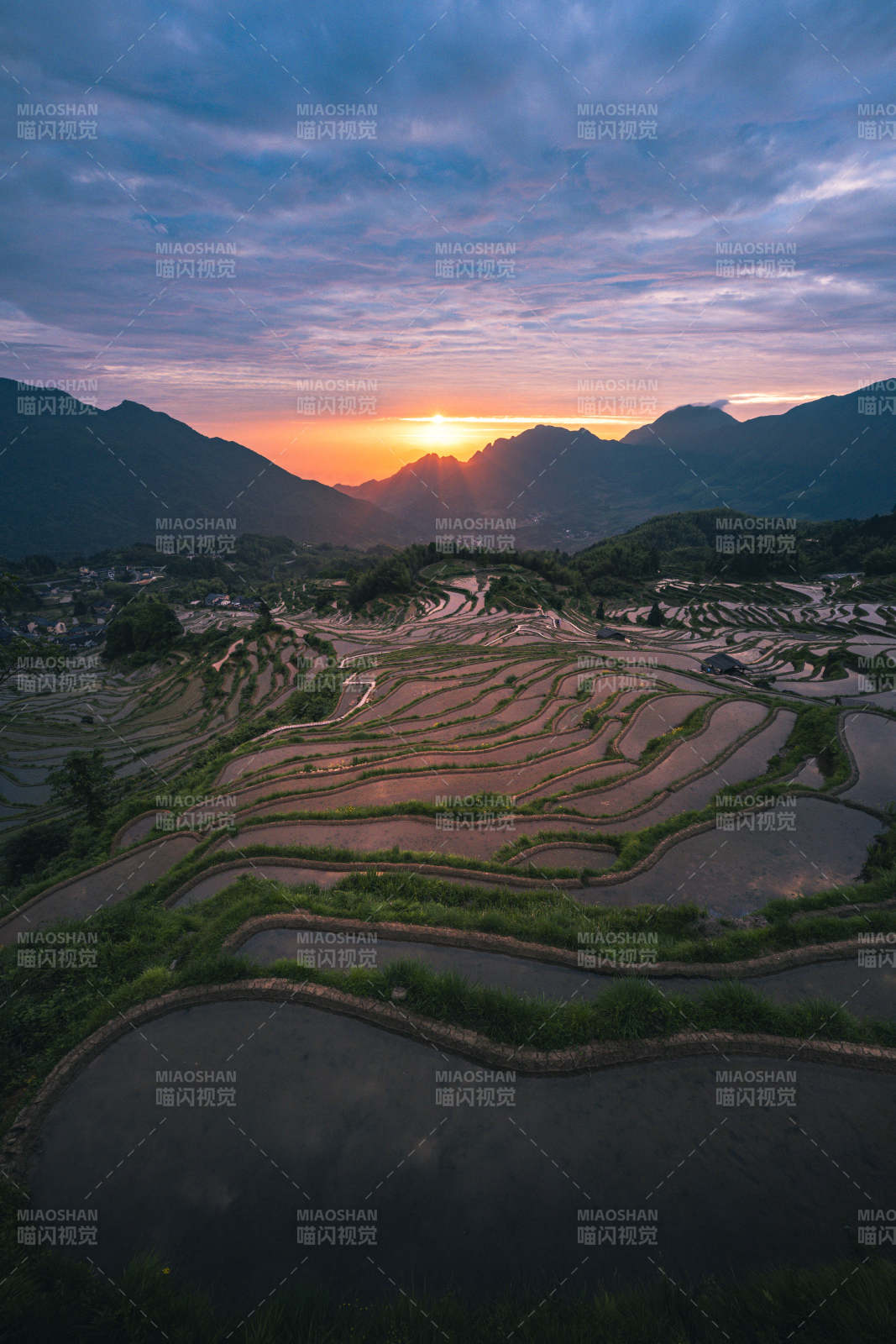 梯田日落 山峦染霞光图片