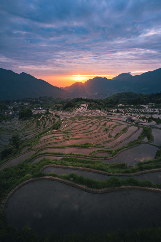 梯田日落 山峦染霞光图片