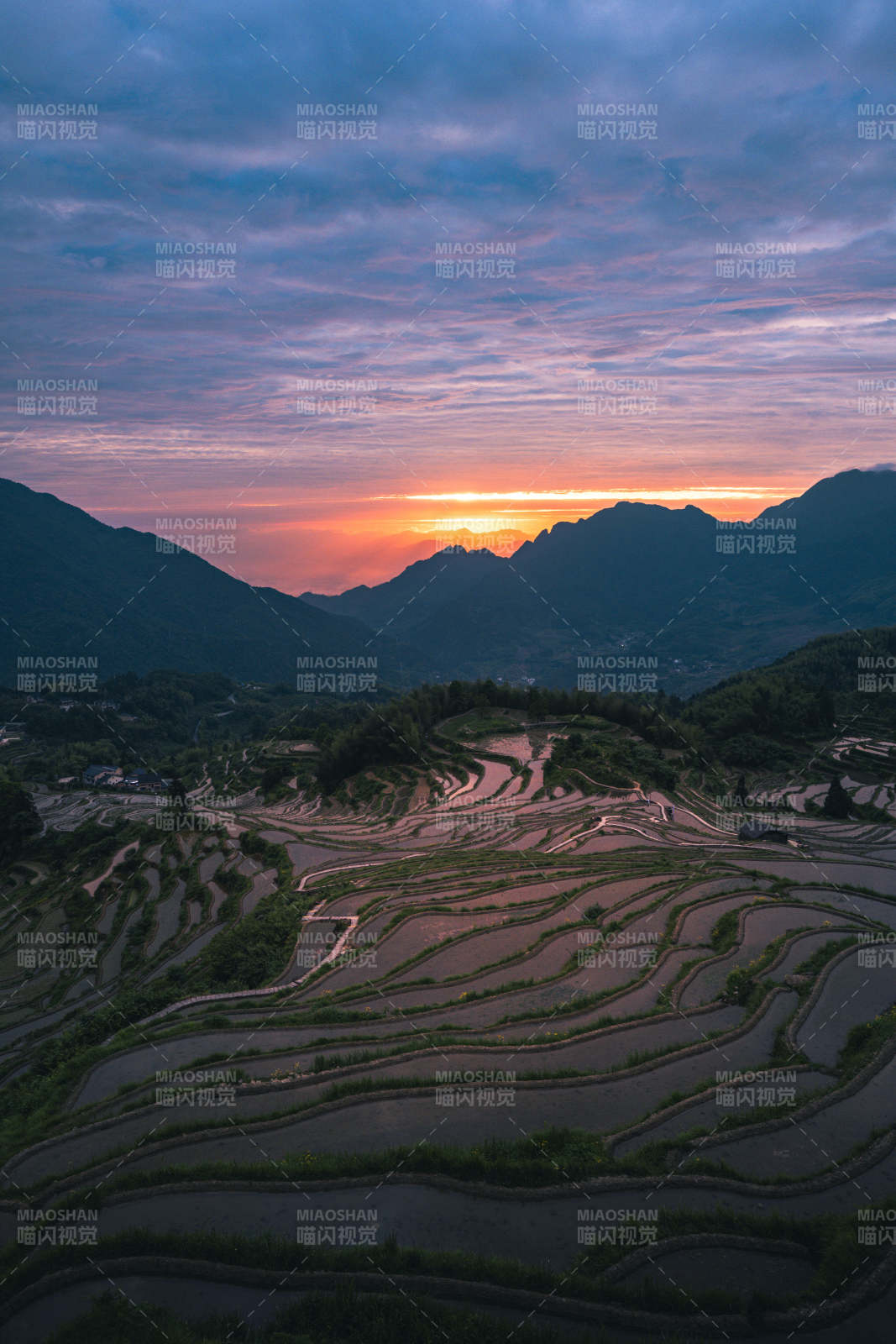 梯田日落 山峦染霞光图片