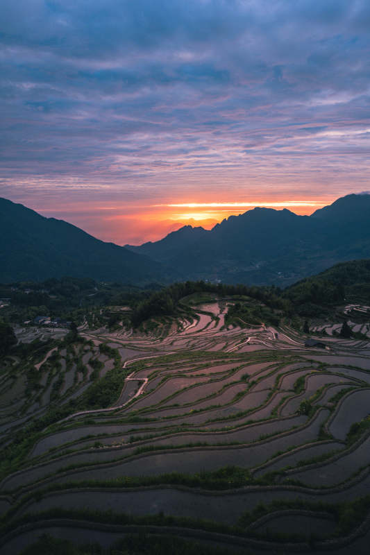 梯田日落 山峦染霞光图片