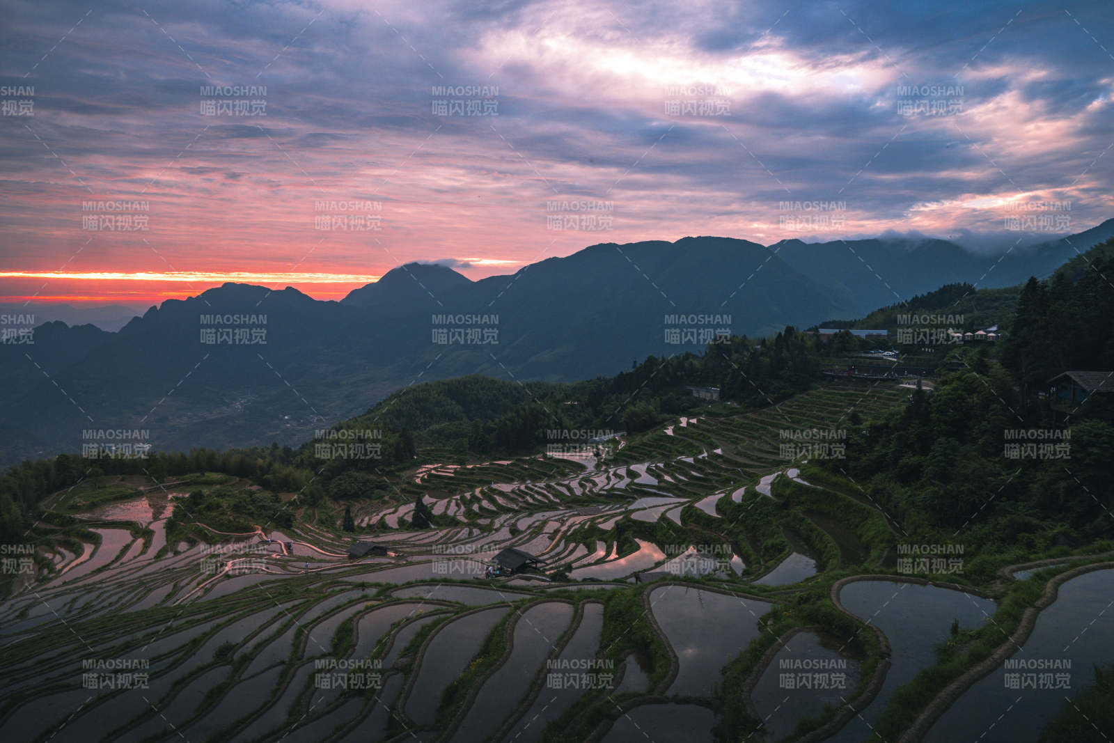 云和梯田日出 山峦染霞光图片