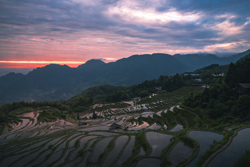 云和梯田日出 山峦染霞光图片