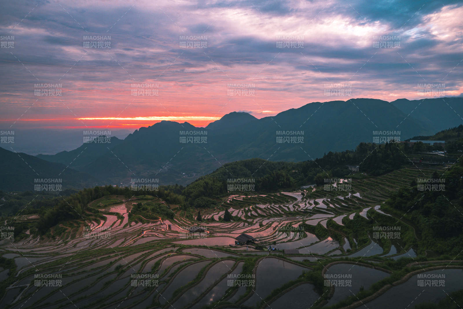 云和梯田日出朝霞漫天图片