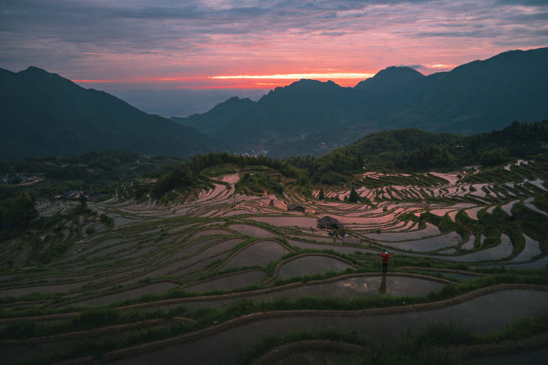 梯田夕照 山峦染霞光图片