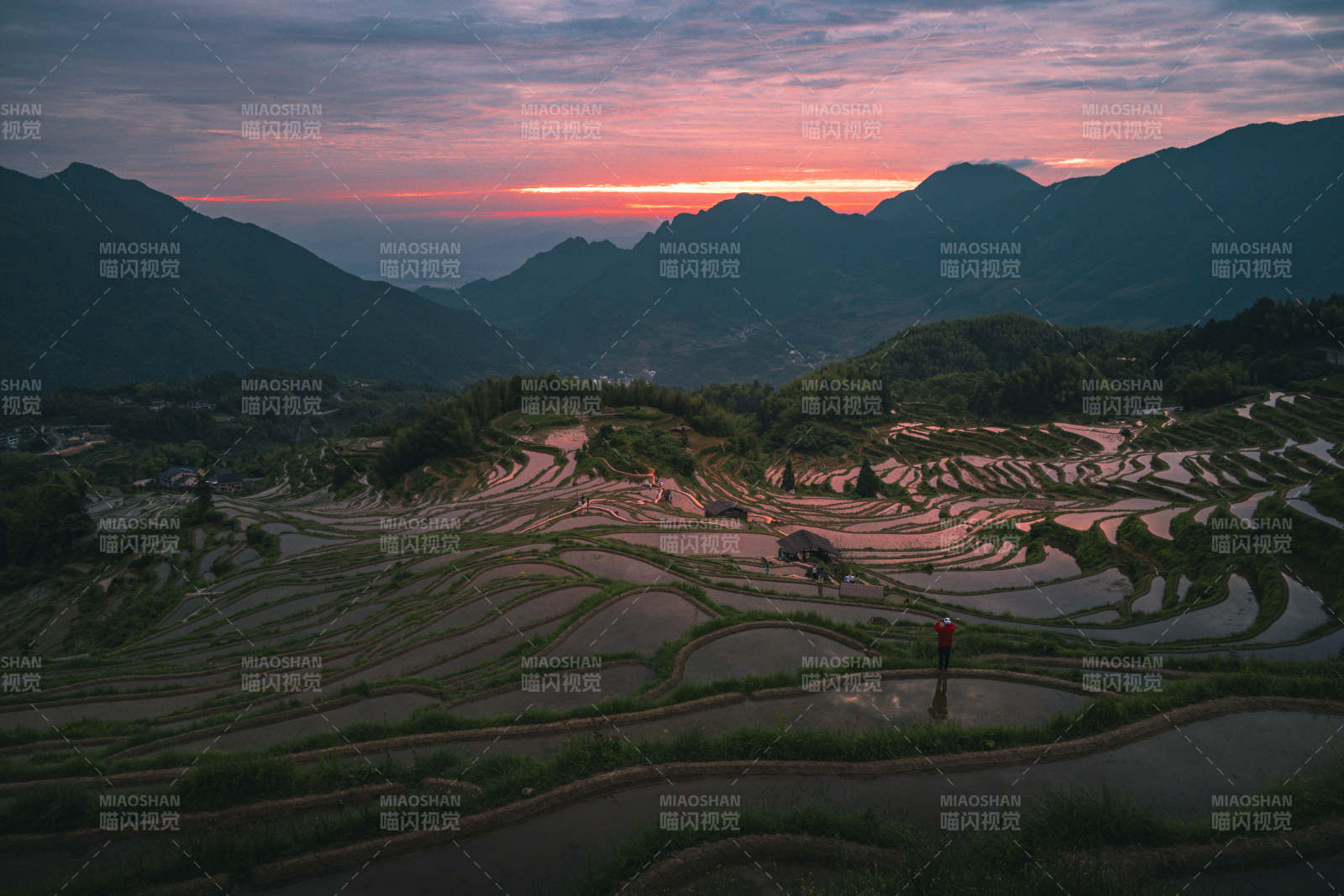 梯田夕照 山峦染霞光图片