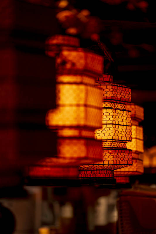 暖光灯笼 夜色温柔图片
