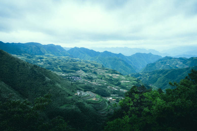 浙江南尖岩青山叠翠 梯田如画图片
