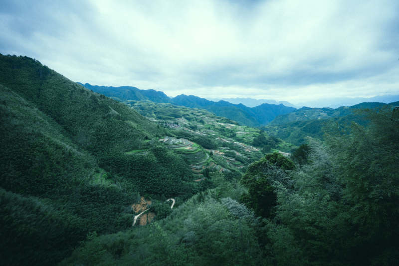 青山叠翠 云雾缭绕山谷间图片