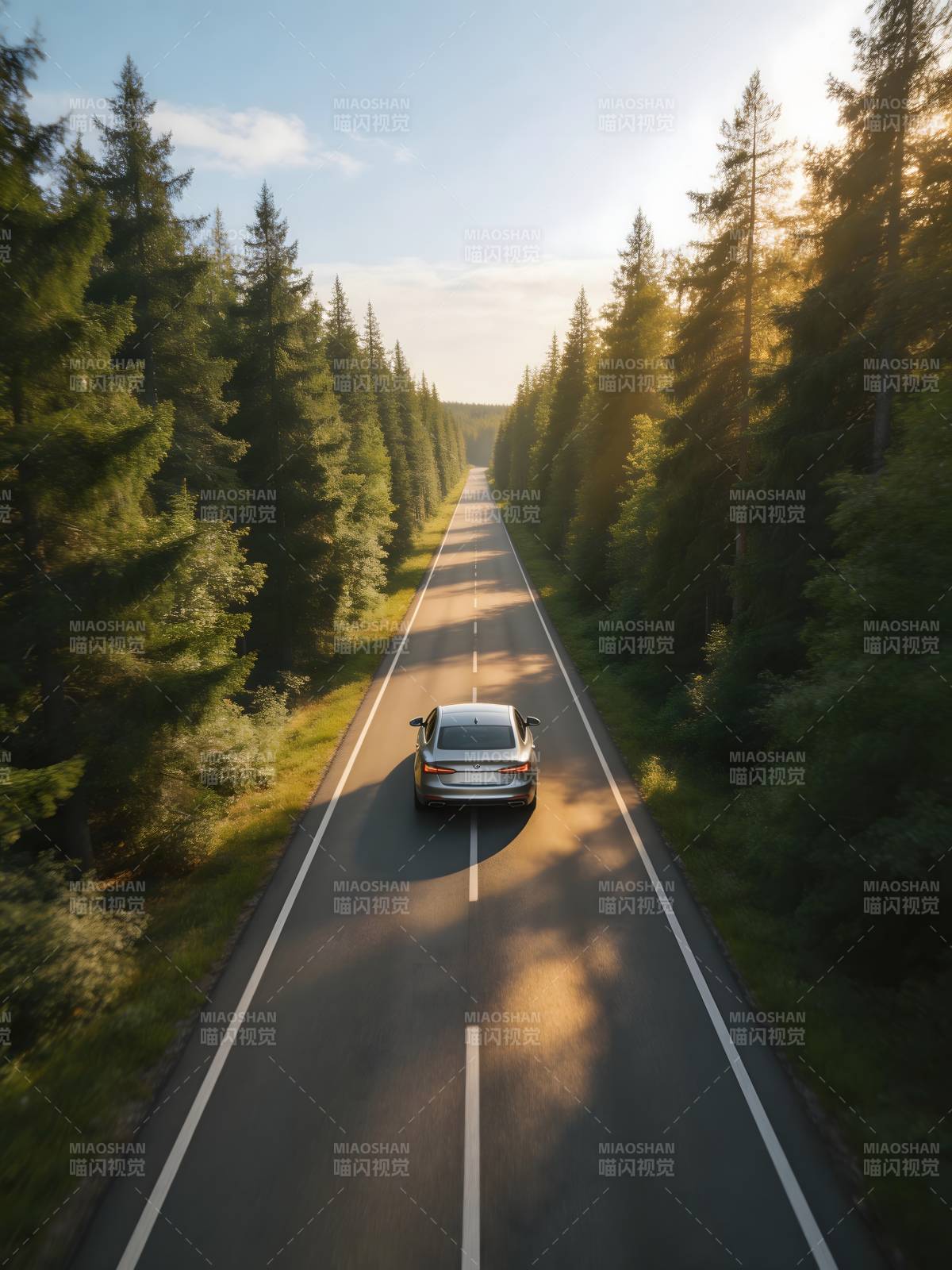林间公路 单车向光行图片