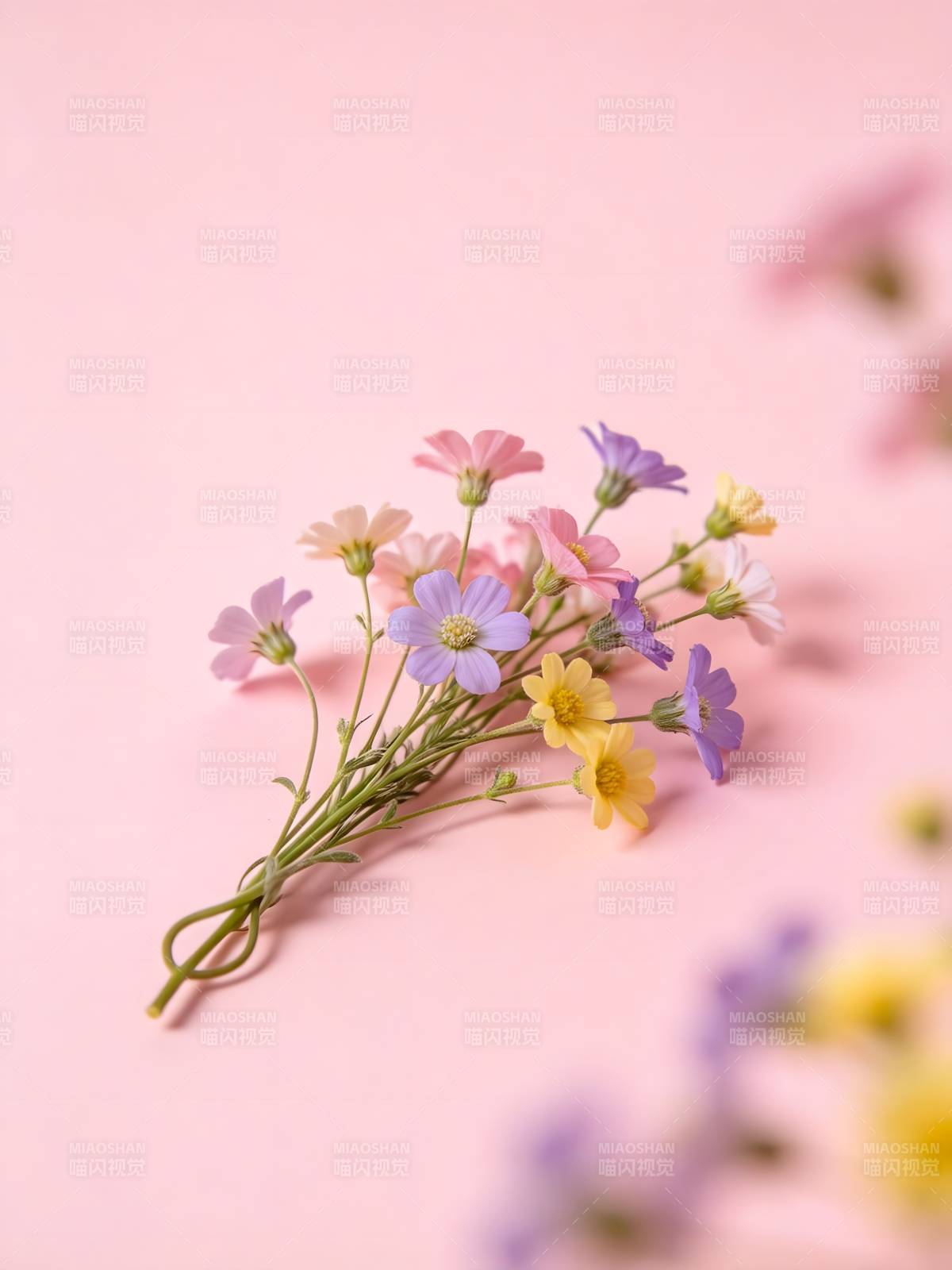 粉背景上的彩色小花束图片