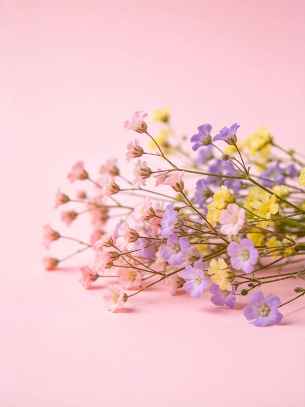 粉紫黄小花束 温柔春日感图片
