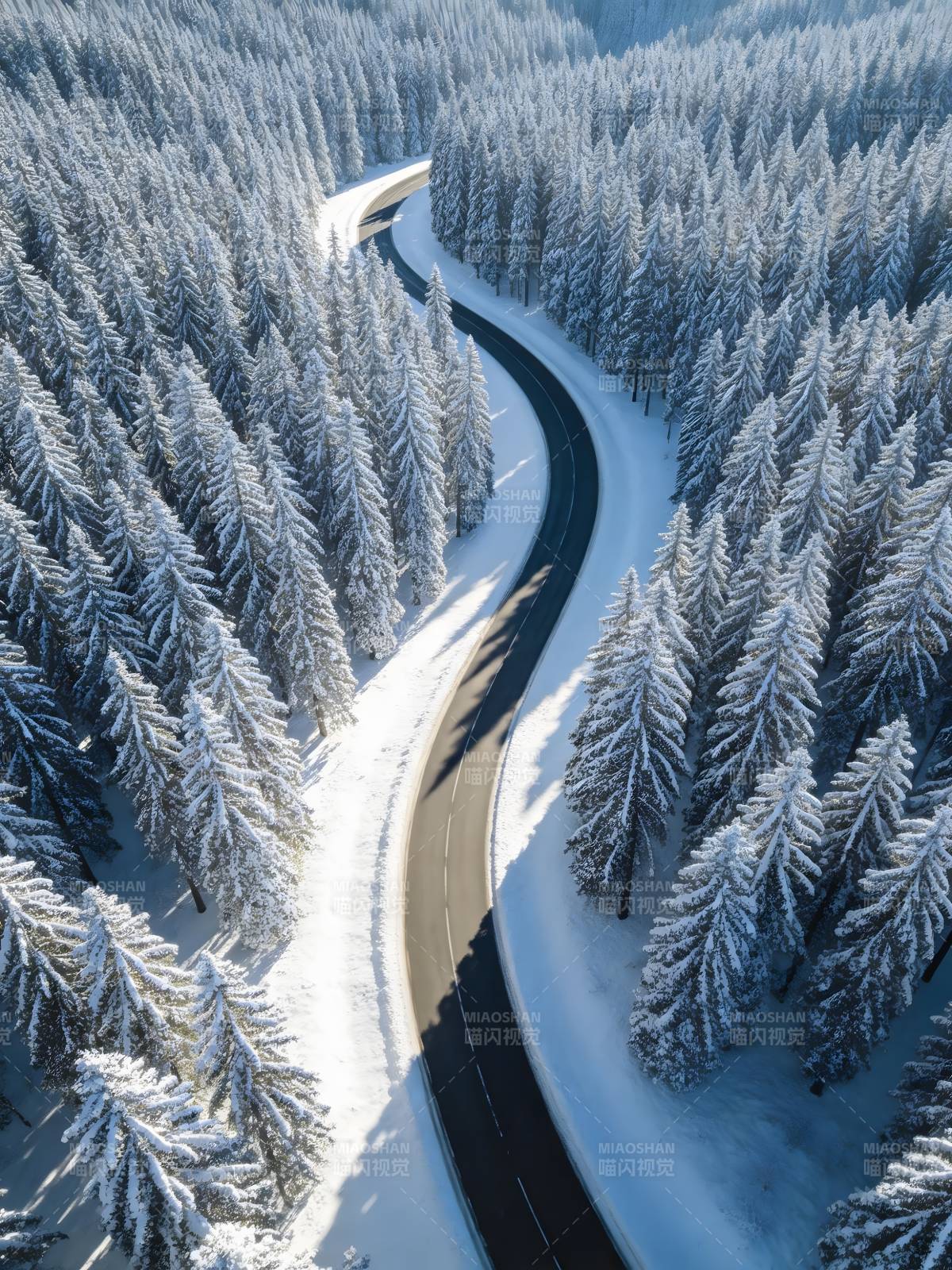 雪林蜿蜒路 冬日仙境图图片
