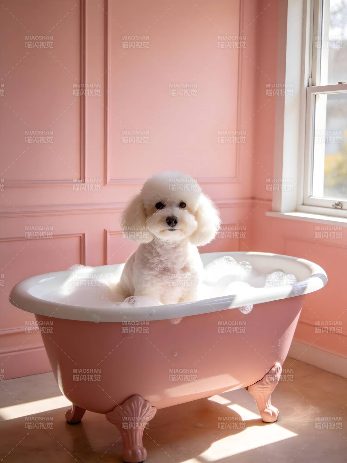 粉浴缸里的萌犬泡泡浴图片