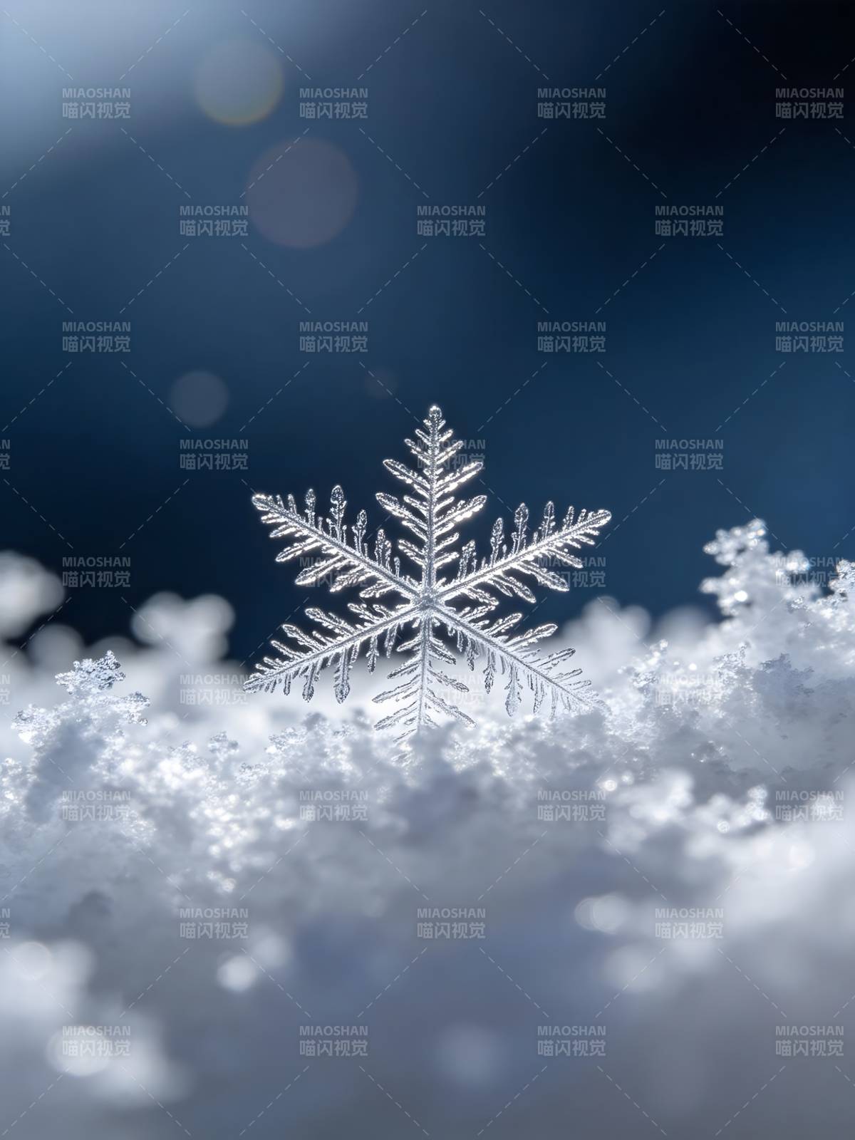 雪花静落 冬夜微光图片