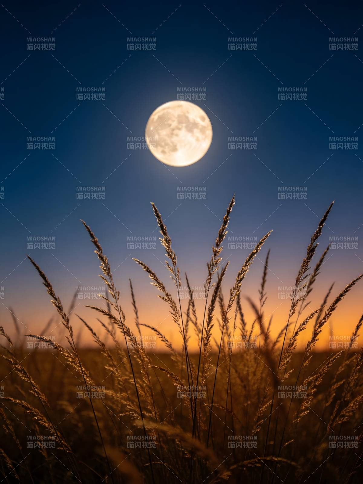 月照草野 暮色温柔图片